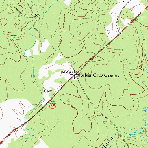 Topographic Map of Reids Crossroads, GA