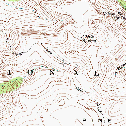 Topographic Map of Pine Flat Trail, AZ