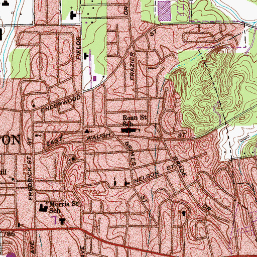 Topographic Map of Roan Elementary School, GA