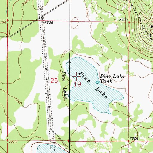 Topographic Map of Pine Lake, AZ