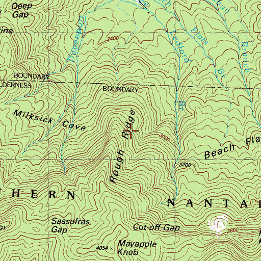 Topographic Map of Rough Ridge, GA