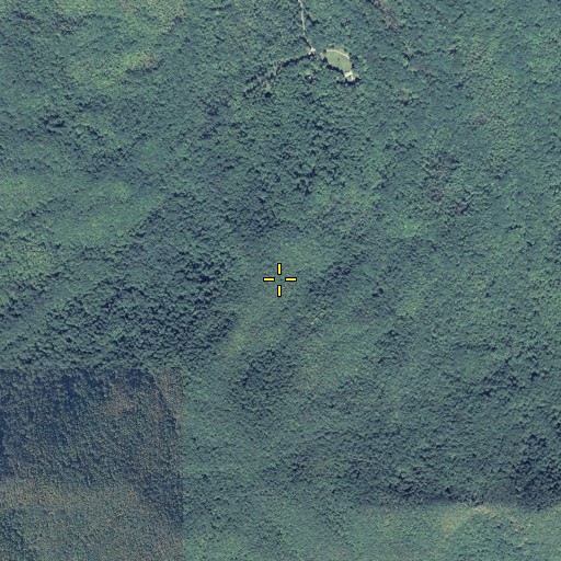 Aerial/Satellite Image of Rough Ridge, GA