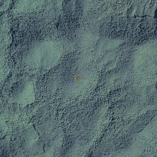Aerial/Satellite Image of Round Top, GA