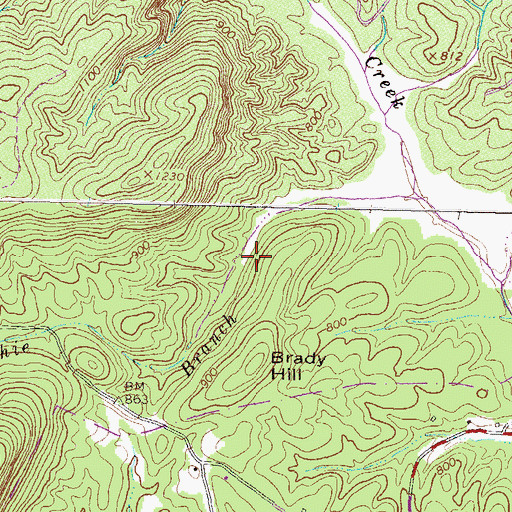 Topographic Map of Rushie Branch, GA