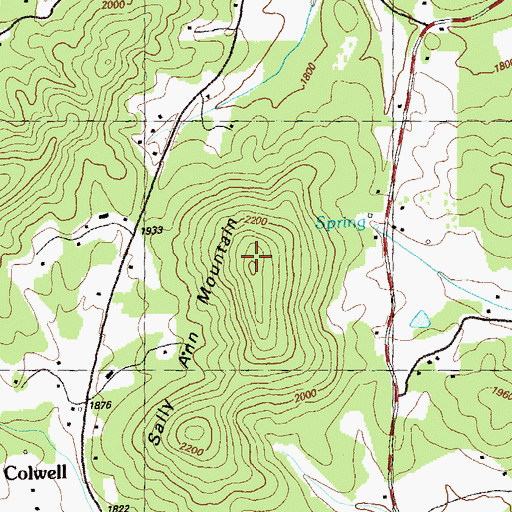 Topographic Map of Sally Ann Mountain, GA