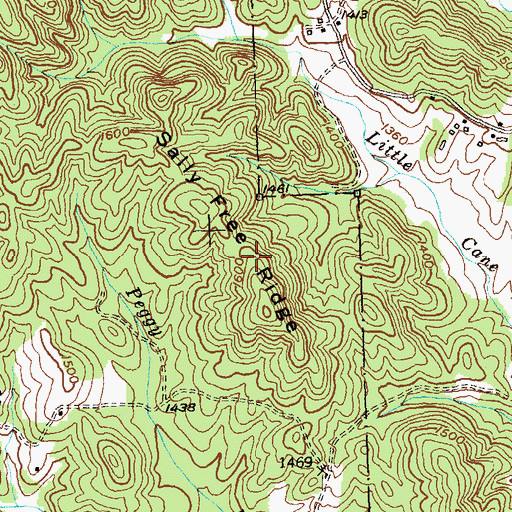 Topographic Map of Sally Free Ridge, GA