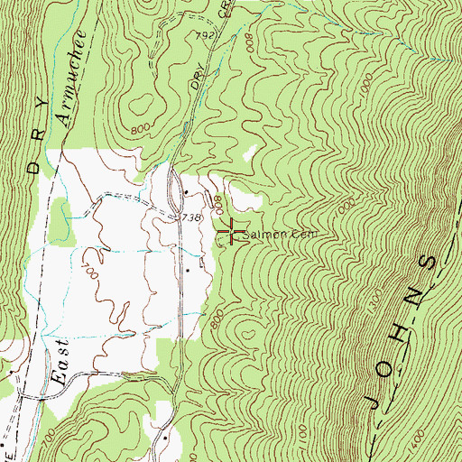 Topographic Map of Salmon Cemetery, GA