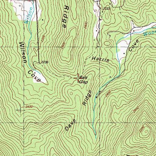 Topographic Map of Salt Gap, GA