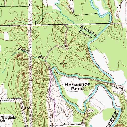 Topographic Map of Sapp Branch, GA