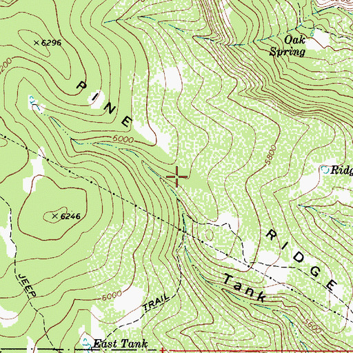Topographic Map of Pine Ridge, AZ