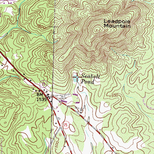 Topographic Map of Seabolt Pond, GA