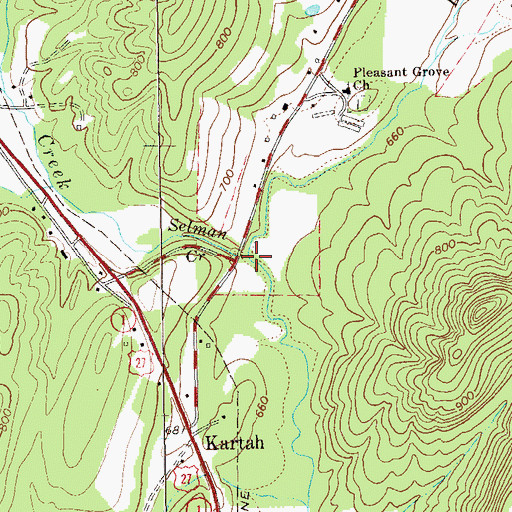 Topographic Map of Selman Creek, GA