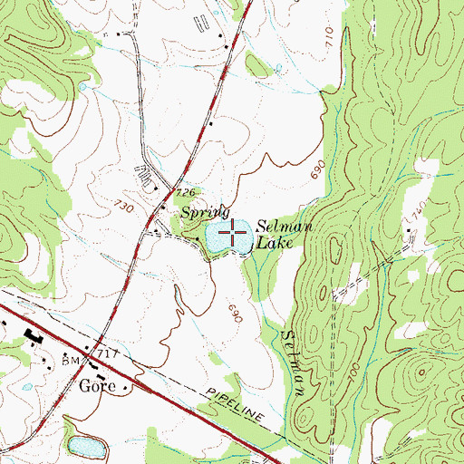 Topographic Map of Selman Lake, GA