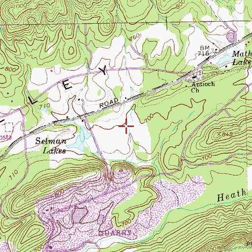 Topographic Map of Selman Lakes, GA