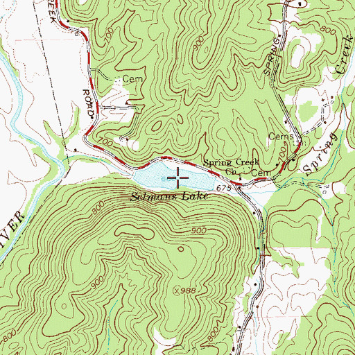 Topographic Map of Selmans Lake, GA