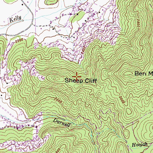 Topographic Map of Sheep Cliff, GA