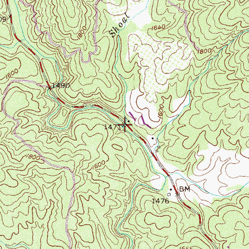 Topographic Map of Shoal Branch, GA