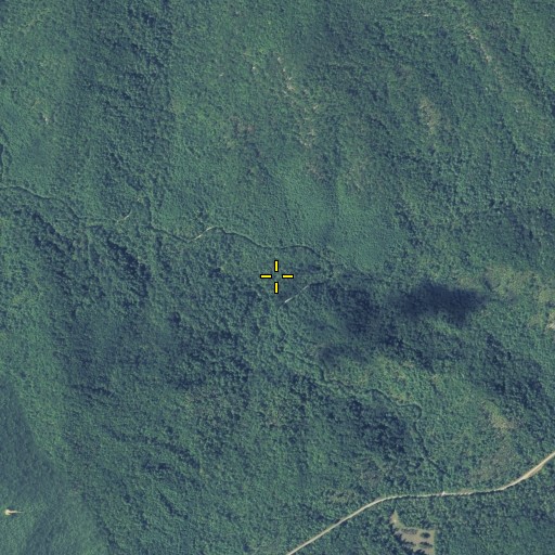 Aerial/Satellite Image of Shooting Tree Branch, GA