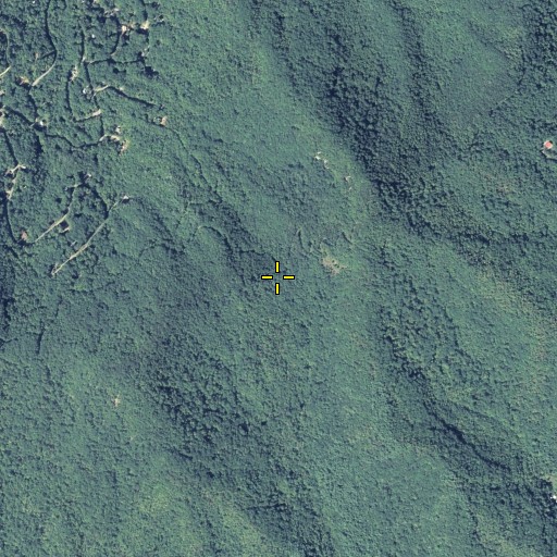 Aerial/Satellite Image of Sims Gap, GA