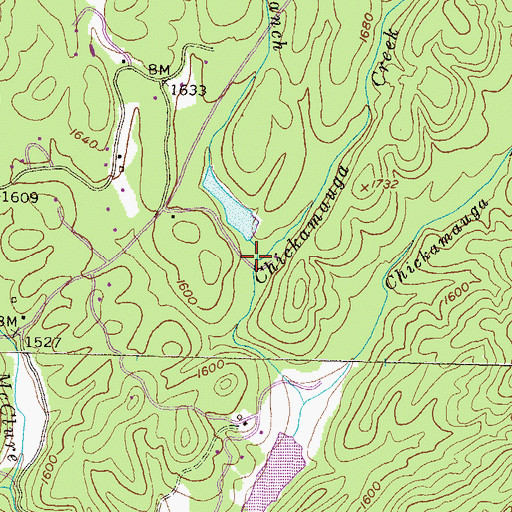 Topographic Map of Snake Branch, GA