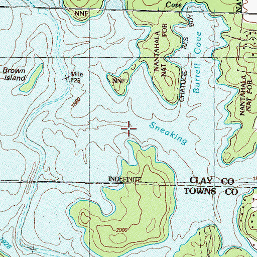 Topographic Map of Sneaking Creek, GA