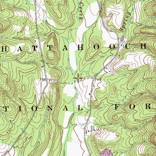 Topographic Map of Spring Branch, GA