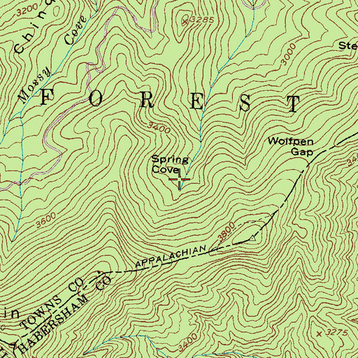 Topographic Map of Spring Cove, GA