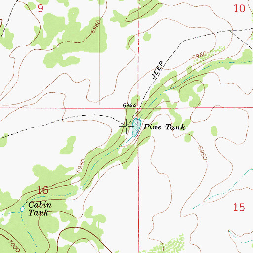 Topographic Map of Pine Tank, AZ