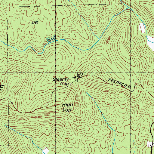 Topographic Map of Steamy Gap, GA