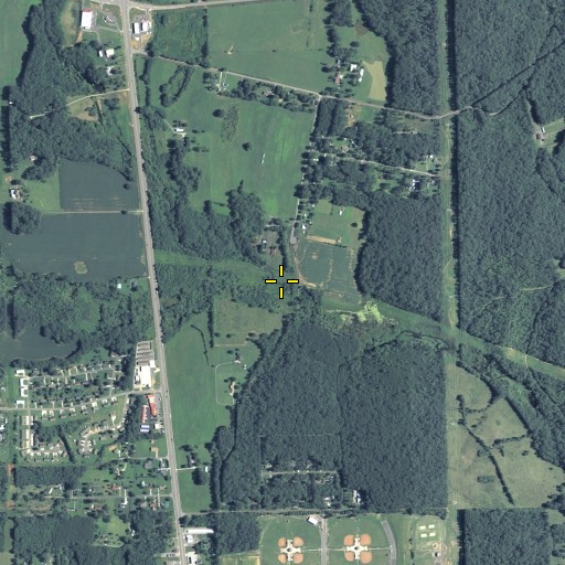 Aerial/Satellite Image of Stone Branch, GA