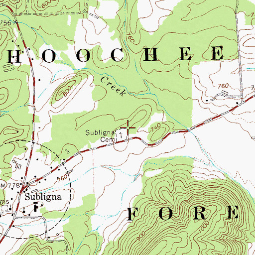 Topographic Map of Subligna Cemetery, GA