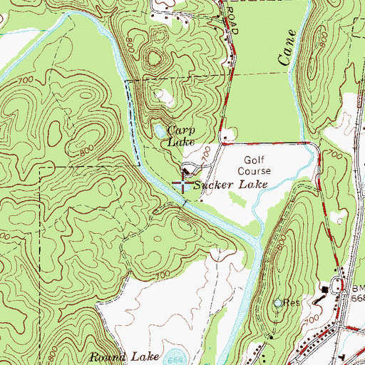 Topographic Map of Sucker Lake, GA