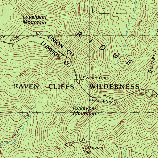 Topographic Map of Swaim Gap, GA