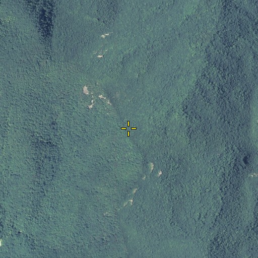 Aerial/Satellite Image of Swaim Gap, GA