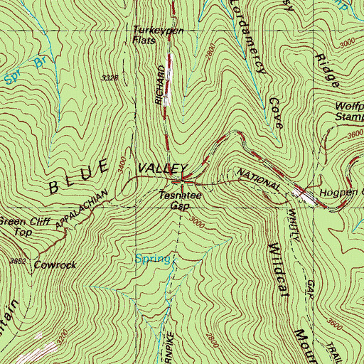 Topographic Map of Tesnatee Gap, GA