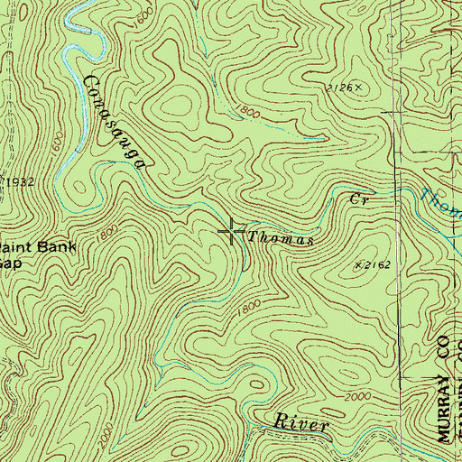 Topographic Map of Thomas Creek, GA