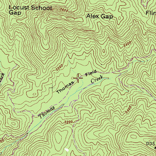 Topographic Map of Thomas Field, GA