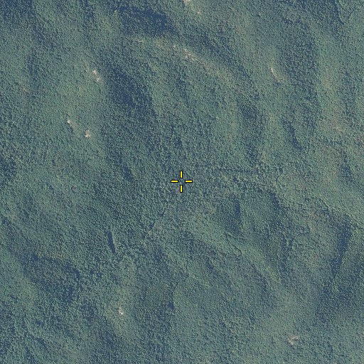 Aerial/Satellite Image of Thomas Field, GA