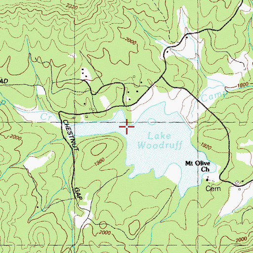 Topographic Map of Thomas Mill, GA