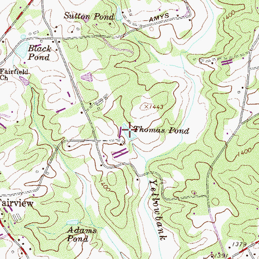 Topographic Map of Thomas Pond, GA