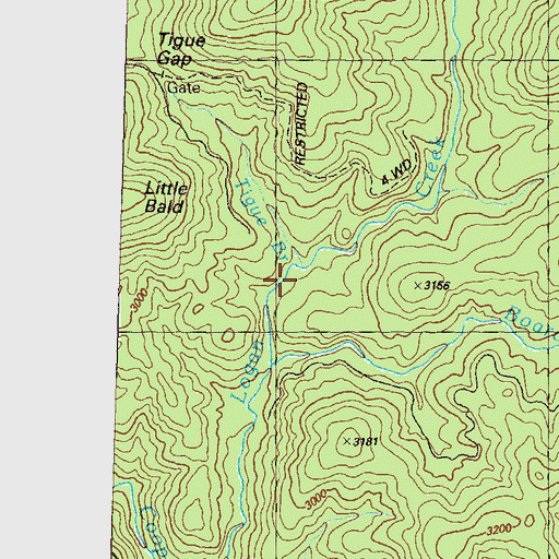Topographic Map of Tigue Branch, GA