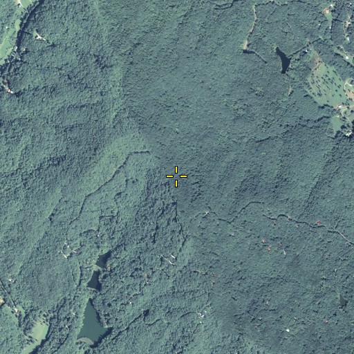Aerial/Satellite Image of Tipton Gap, GA