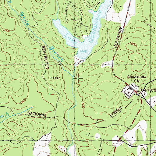Topographic Map of Tom White Branch, GA