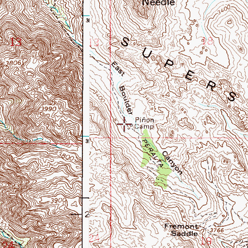 Topographic Map of Pion Camp, AZ