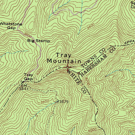 Topographic Map of Tray Mountain, GA