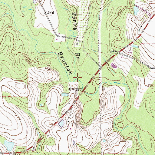 Topographic Map of Turkey Branch, GA