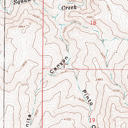 Topographic Map of Pinto Cow Canyon, AZ