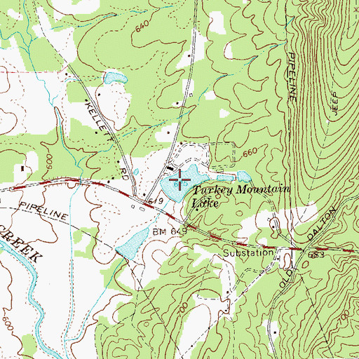 Topographic Map of Turkey Mountain Lake, GA