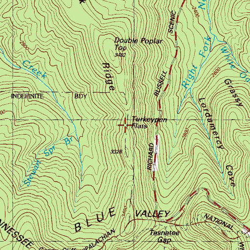 Topographic Map of Turkeypen Flats, GA