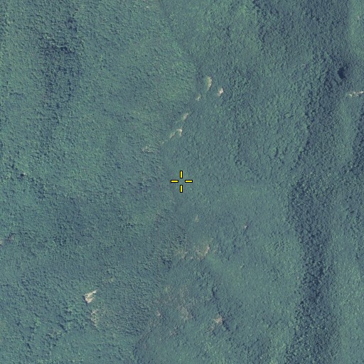 Aerial/Satellite Image of Turkeypen Gap, GA